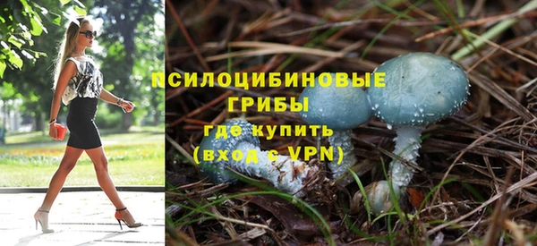 бошки Алзамай